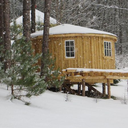 La Maison Sous Les Arbres Saint Roch de Mekinac Eksteriør billede