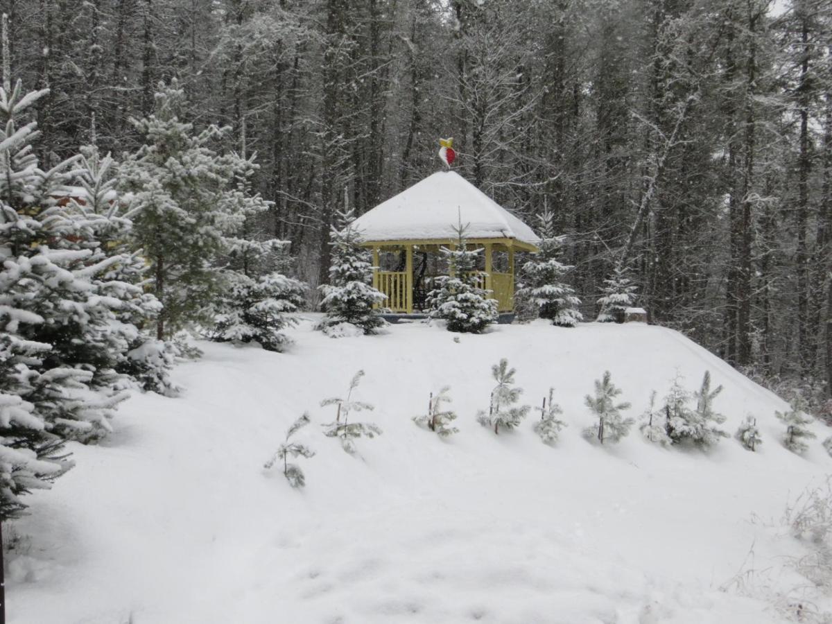 La Maison Sous Les Arbres Saint Roch de Mekinac Eksteriør billede